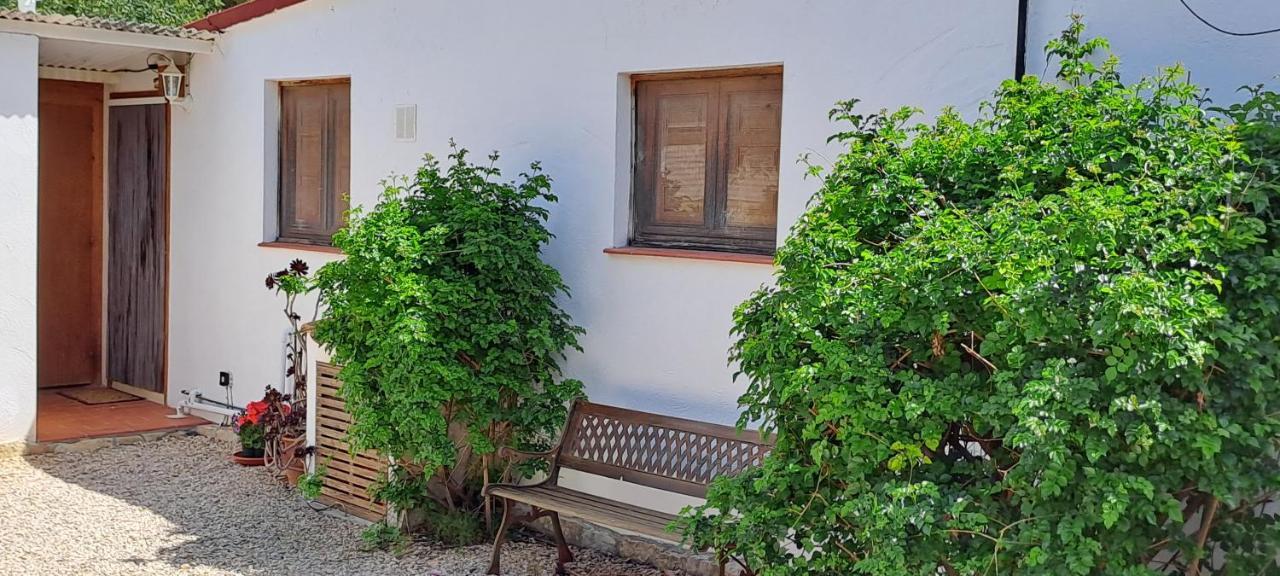 Finca Gamundi L'Ampolla Buitenkant foto